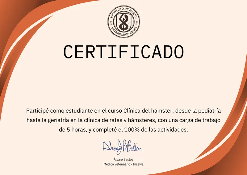Certificado
